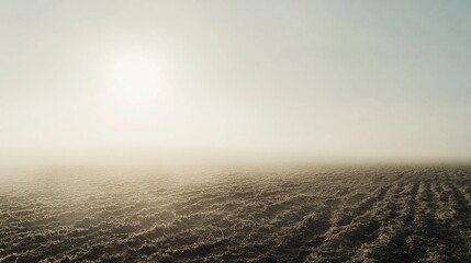 Obraz premium Toxic fertilizer applied on crops, stunting their growth. Featuring environmental impact and chemical exposure