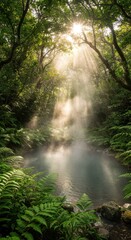 Naklejka premium Sunbeams Illuminating a Misty Forest Pool