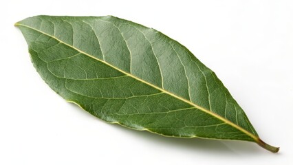 Obraz premium Single Bay Leaf on White Background