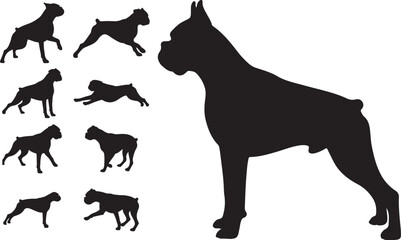 Boxer Silhouette on White Background