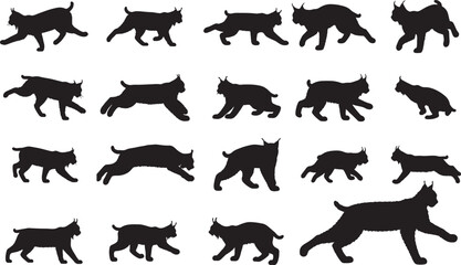 Canada Lynx Silhouettes
