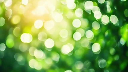Fototapeta premium A dreamy, blurred green bokeh light effect, symbolizing freshness, nature, and tranquility in a calming abstract scene. 