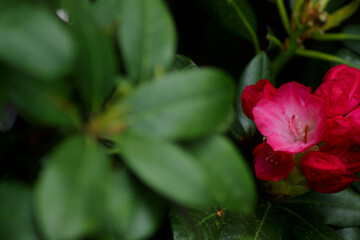 Botanischer Garten Augsburg