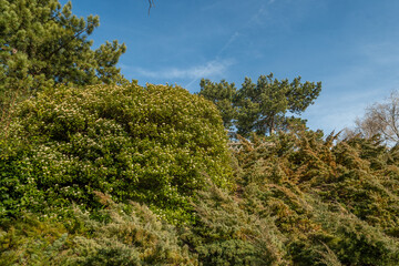 Le parc Montjuzet dans la ville de Clermont-Ferrand