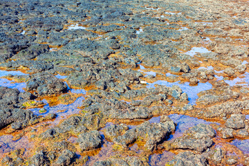 Rocky shoreline with patches of water pooling between the rocks. Contrast between the dark rocks and the bright, clear water creates an interesting and visually appealing pattern