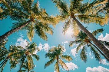 Tropical palm trees against a bright blue sky with sunlight and fluffy clouds in a serene outdoor setting