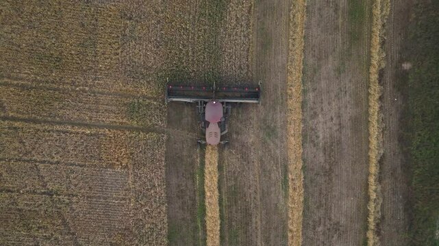 aerial video of a swather cutting wheat 