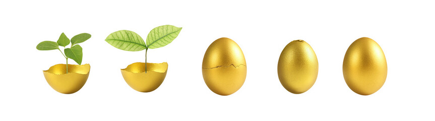 Golden growth transformative journey of plants from seed to prosperity nature visual storytelling tranquil environment close-up view concept of abundance