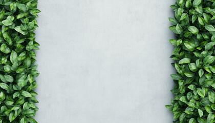 Climate solutions and green technology for sustainability. Green leaves frame a textured gray background for a natural feel.