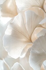 The serene textures of ginkgo leaves create a calming composition, encapsulating the essence of nature's elegance.