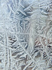 frost on the window.
mróz na szybie.
mróz na oknie.