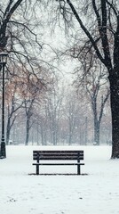 Serene Snowy Park Scene with Empty Bench Under Falling Snowflakes