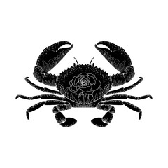 Cancer Zodiac, crab vector illustration.