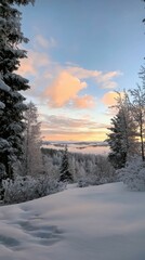 Obraz premium Tranquil Winter Landscape with Snowy Trees and Colorful Sunset