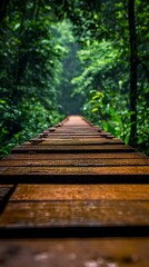 Fototapeta premium Lush Forest Wooden Footbridge Pathway