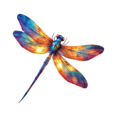Vibrant Dragonfly Illustration on Transparent Background for Graphics