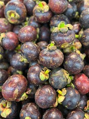 mangosteen fruit in the market