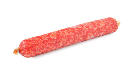Delicious dry cured sausage isolated on white