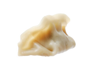 One fresh gyoza dumpling isolated on white