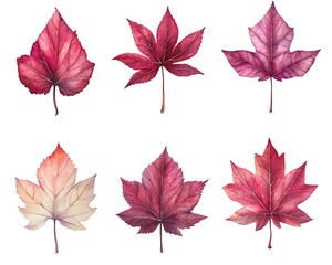 Obraz premium Watercolor Autumn Leaves, Various Shades