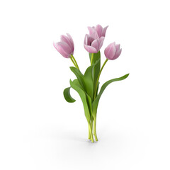 3d Render Isolated Purple Lilac Tulips
