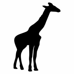 giraffe silhouette with long neck