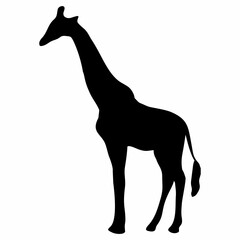 giraffe silhouette with long neck