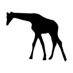 giraffe silhouette with long neck