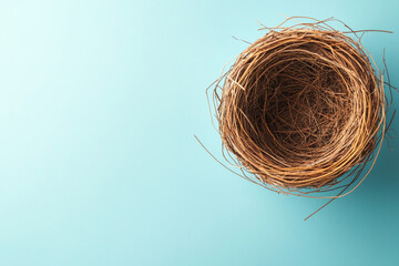 Empty nest, waiting. Full of expectation, hope. Blue copy space for text