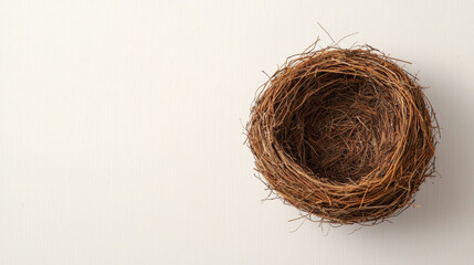 Obraz premium Empty sparrow nest, delicate and fragile, ready for new life