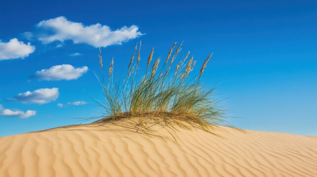 Video generation of a calm desert landscape with golden sand dunes under a clear blue sky. Featuring peace and isolation