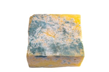 Old, moldy cheese with greenish fungus