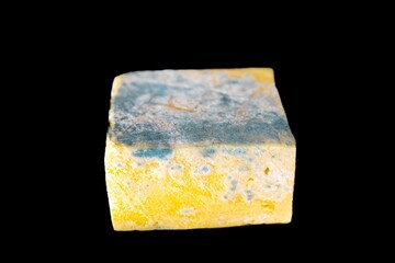 Old, moldy cheese with greenish fungus