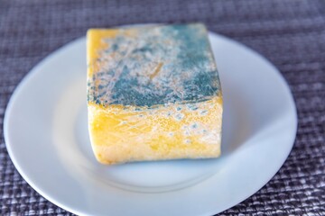 Old, moldy cheese with greenish fungus