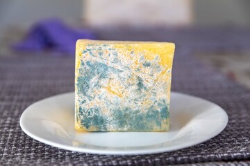 Old, moldy cheese with greenish fungus