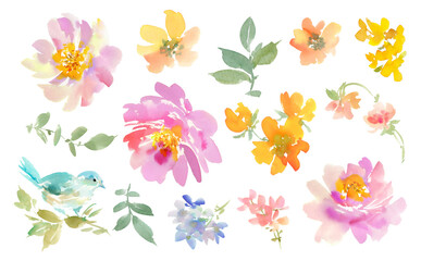 Png illustrations of a blue bird painted in watercolor with spring flowers and wildflowers. A hand-drawn bird with peonies and a floral clip art set. © Sawango