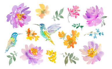 Png clipart set of hummingbird painted in watercolor with spring flowers and wildflowers. Hand-drawn bird with peonies and a floral illustration collection.