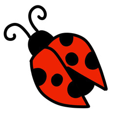 ladybug on white background