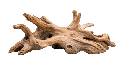 A large piece of driftwood with many holes and cracks