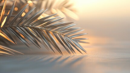 Obraz premium Serene Sunset: Silver Palm Fronds on Sandy Shore