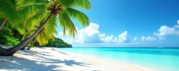 Lush palms, white sand beach, turquoise ocean, resort, palm trees, getaway