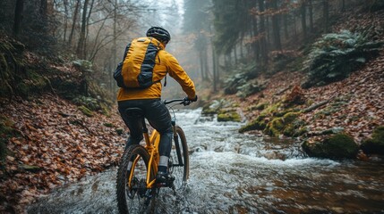 Obraz premium Cyclist riding mountain bike through autumn forest stream.