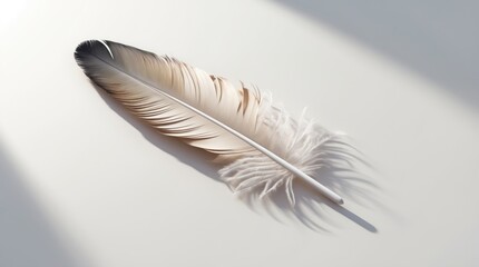 Obraz premium Elegant White Feather Resting on a Softly Lit Surface, Ideal for Minimalist and Artistic Designs