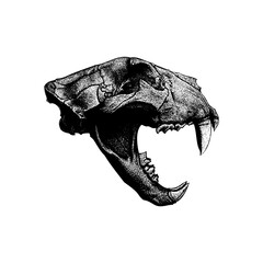 Fototapeta premium lion skull hand drawing vector isolated on background.
