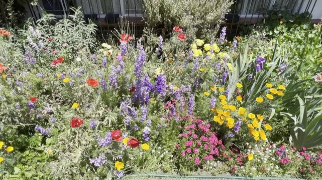 Gorgious flowers in beautiful garden