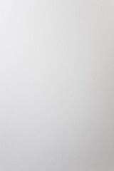 Simple and Elegant Light Gray Background Featuring Barely-There Fine Paper Texture, Adding a Touch of Sophistication Without