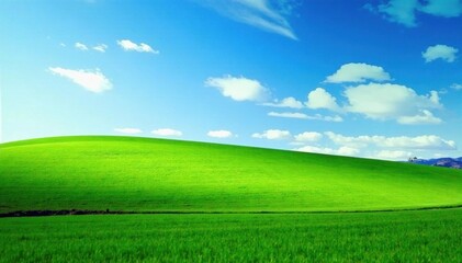 Fototapeta premium Vast green lawn, winding path, blue sky backdrop , plants, scenic, luxury mansion