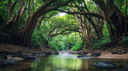 Fototapeta premium Serene Jungle Stream: Tranquil Waters Flowing Through Lush Canopy