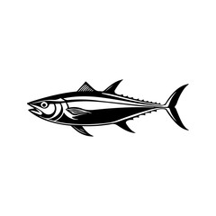 Vector illustrations of tuna. Monochrome design.