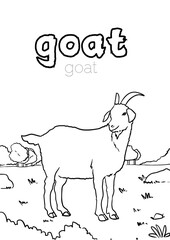 vector illustration of a goat